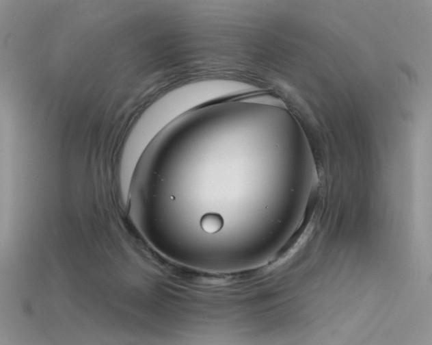 X0000115730170200911121519