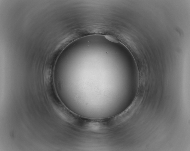 X0000115730171200911121519