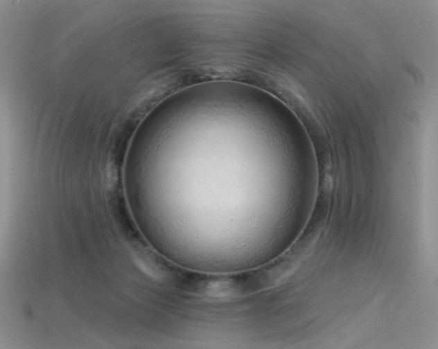 X0000115730173200911121519