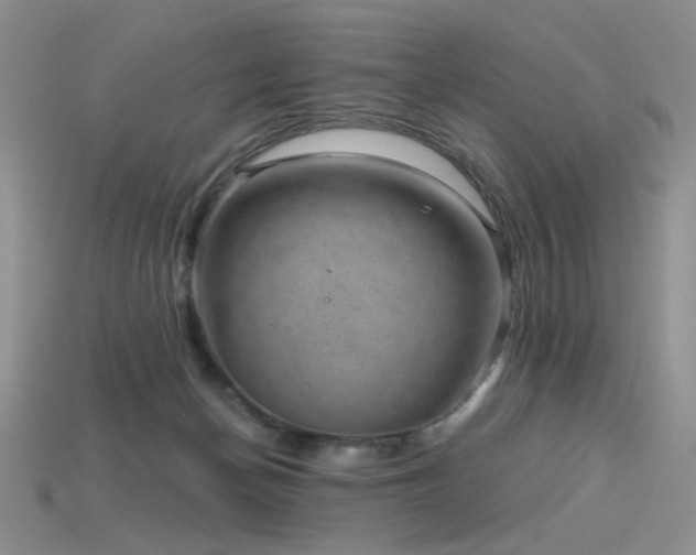 X0000115730174200911121519