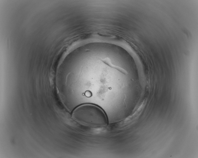 X0000115730175200911121519