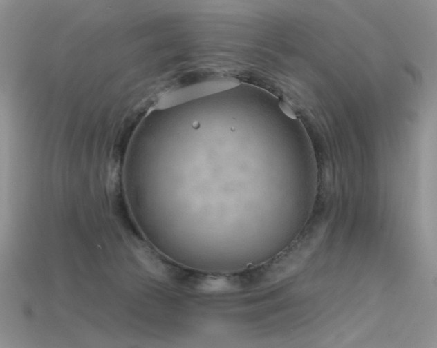 X0000115730177200911121519