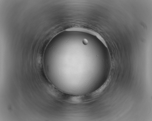 X0000115730178200911121519