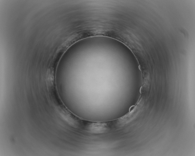 X0000115730179200911121519