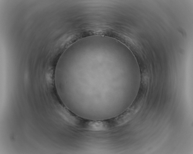 X0000115730181200911121519