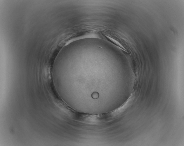 X0000115730182200911121519