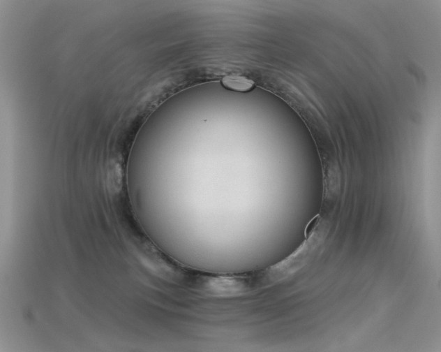 X0000115730183200911121519