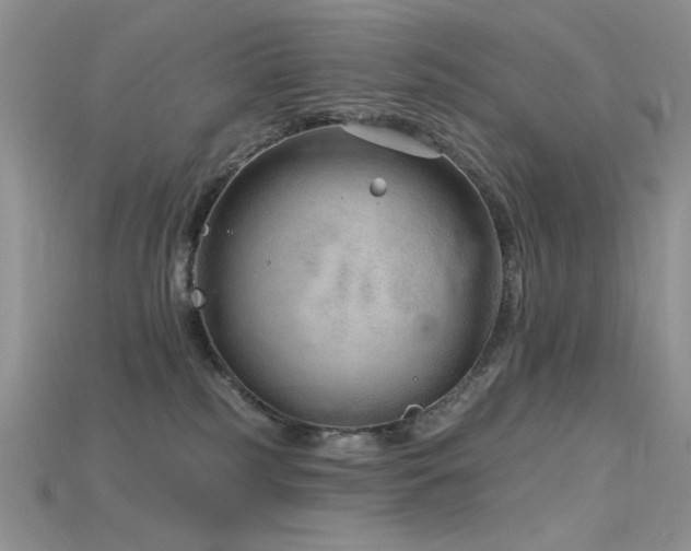 X0000115730185200911121519