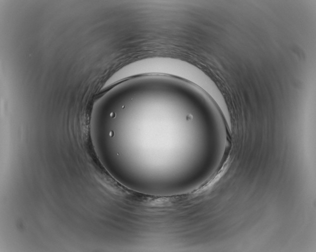 X0000115730186200911121519