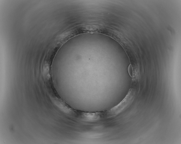 X0000115730187200911121519