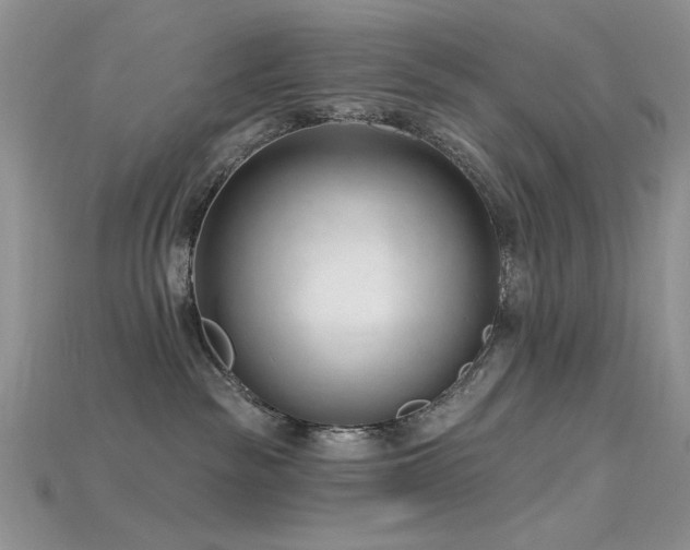 X0000115730189200911121519