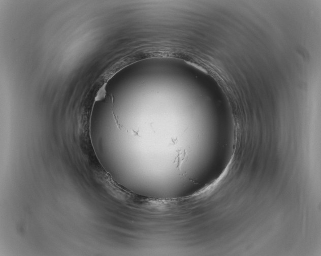 X0000115730190200911121519