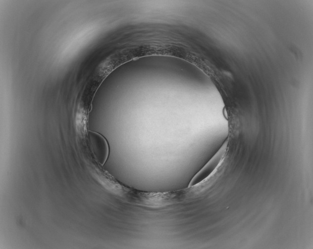 X0000115730191200911121519