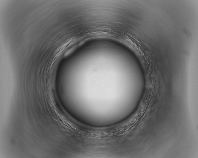 X0000115730193200911121519