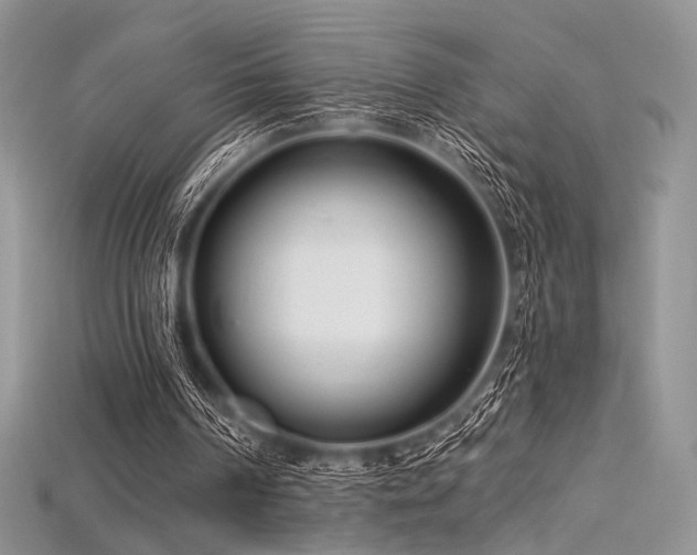 X0000115730194200911121519