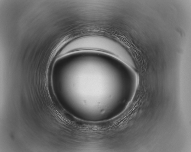 X0000115730195200911121519