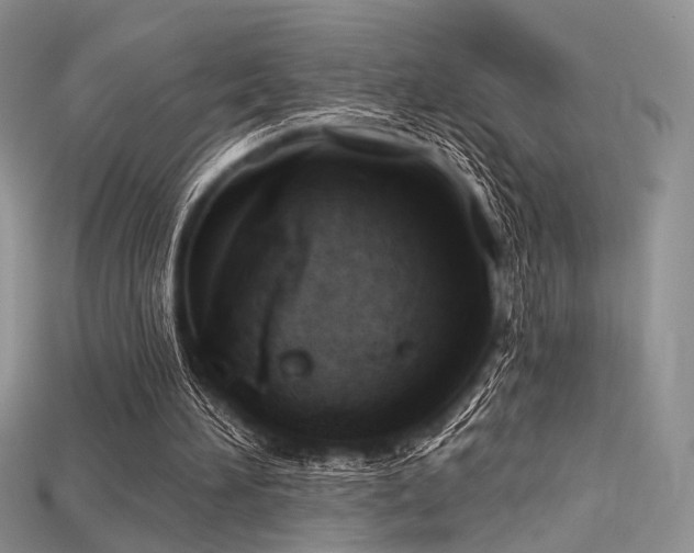 X0000115730196200911121519