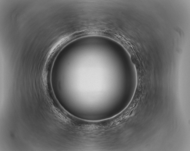 X0000115730197200911121519