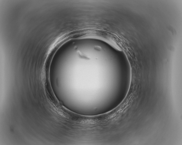 X0000115730198200911121519