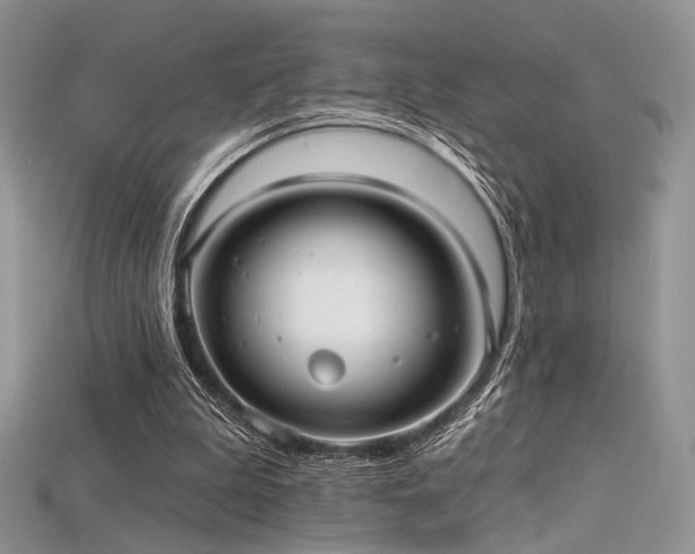 X0000115730199200911121519