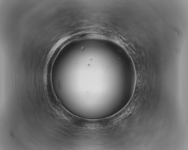 X0000115730200200911121519