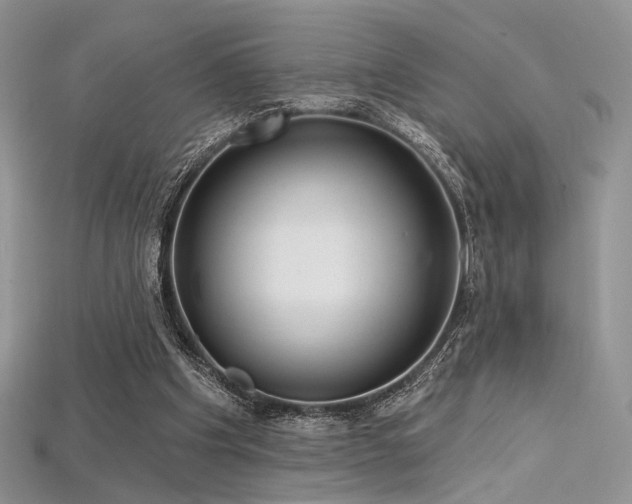 X0000115730201200911121519