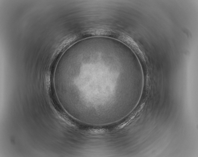 X0000115730202200911121519