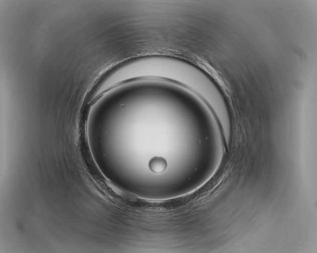 X0000115730203200911121519