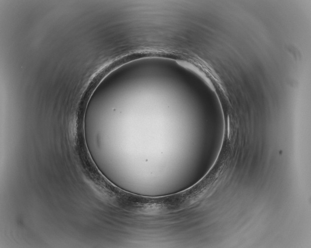 X0000115730204200911121519