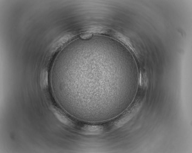 X0000115730205200911121519