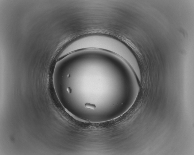 X0000115730207200911121519