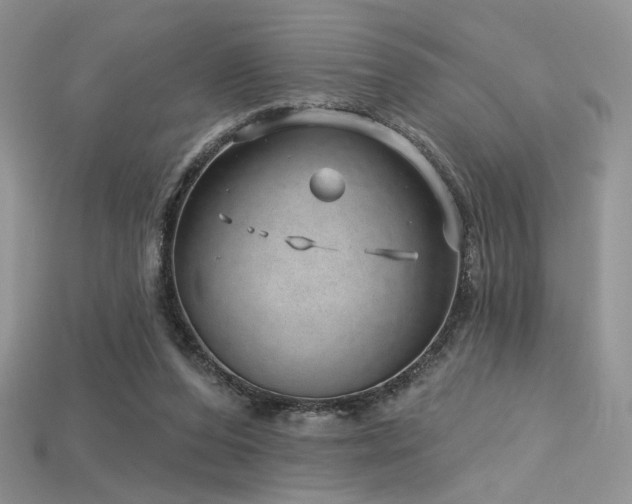 X0000115730208200911121519