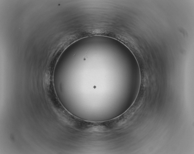 X0000115730210200911121519