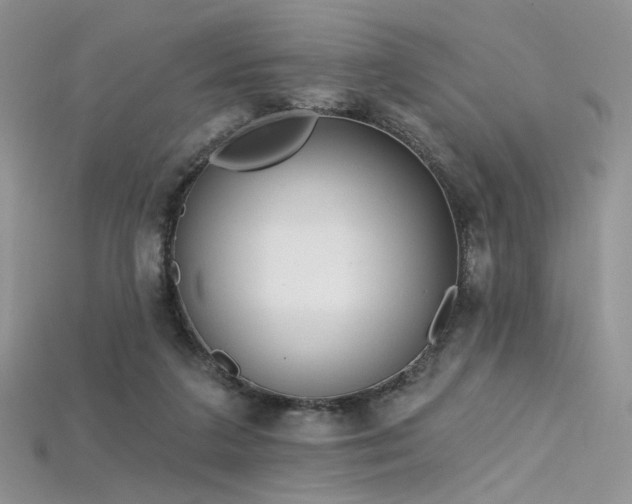 X0000115730211200911121519