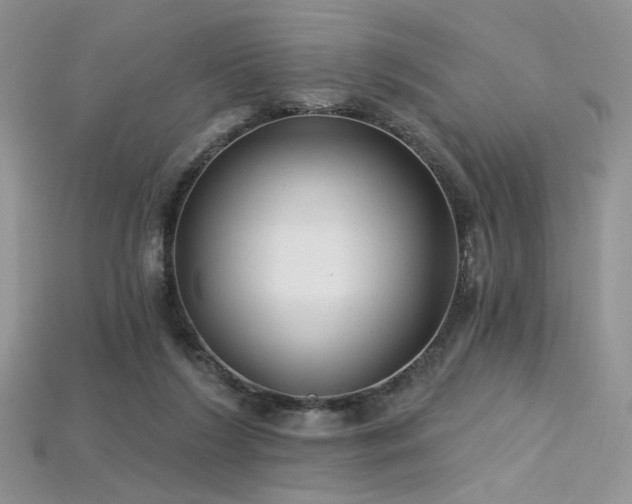 X0000115730212200911121519