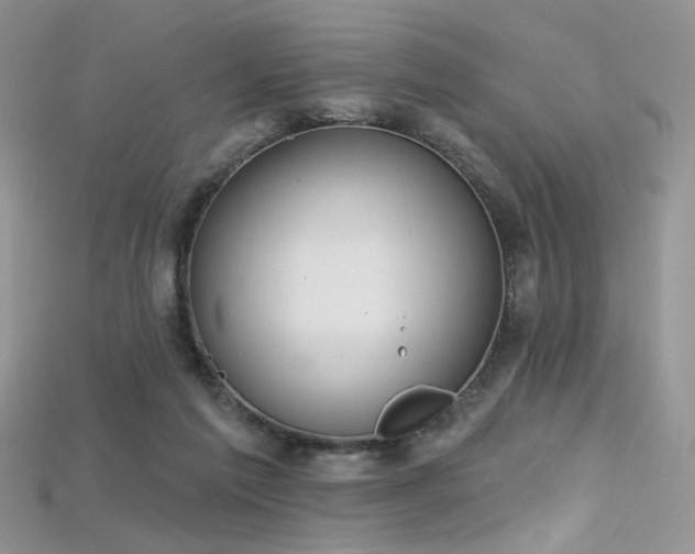 X0000115730213200911121519