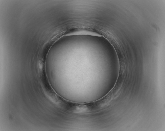 X0000115730214200911121519