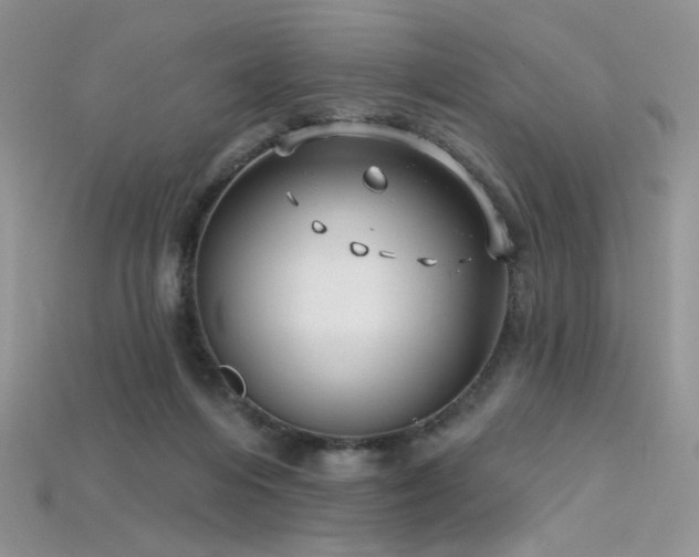 X0000115730216200911121519