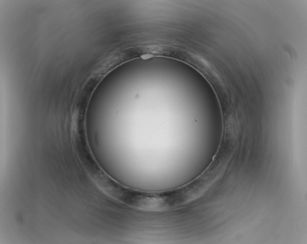 X0000115730217200911121519