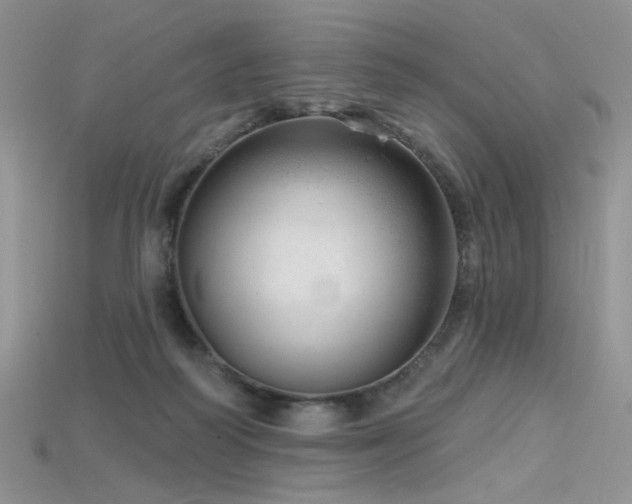 X0000115730218200911121519