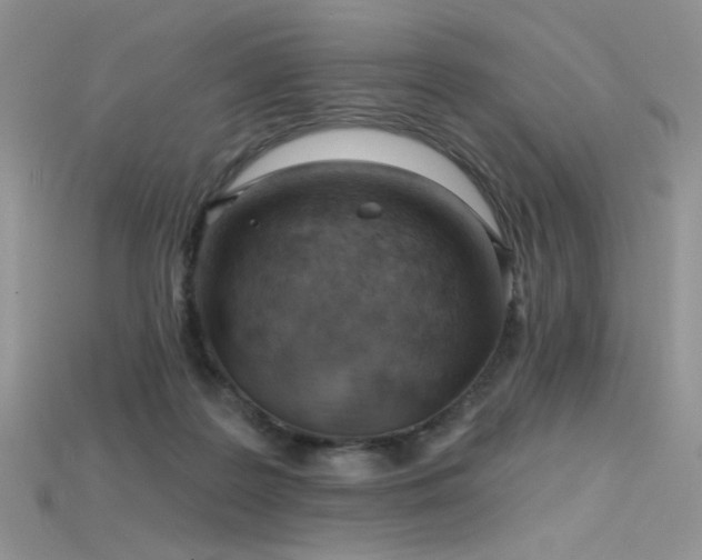 X0000115730219200911121519