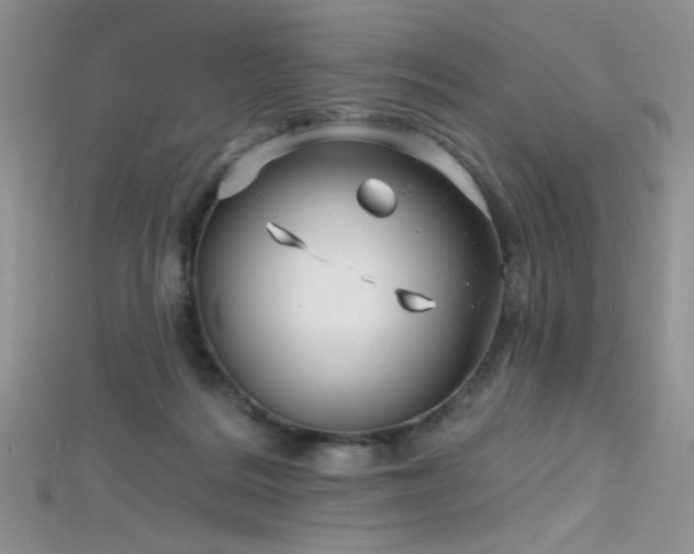 X0000115730220200911121519