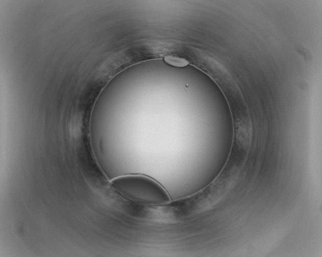 X0000115730221200911121519