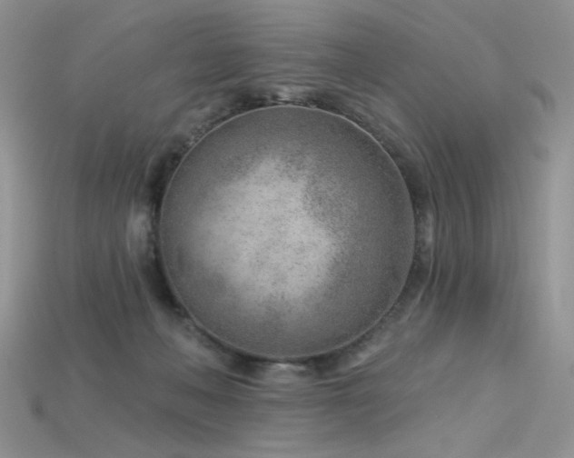 X0000115730222200911121518