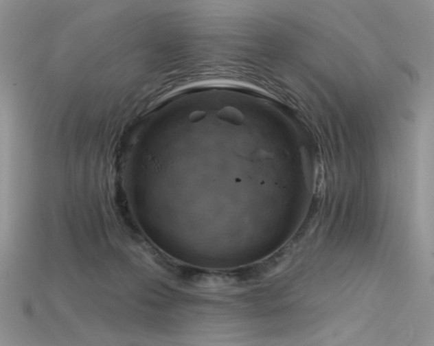 X0000115730223200911121518