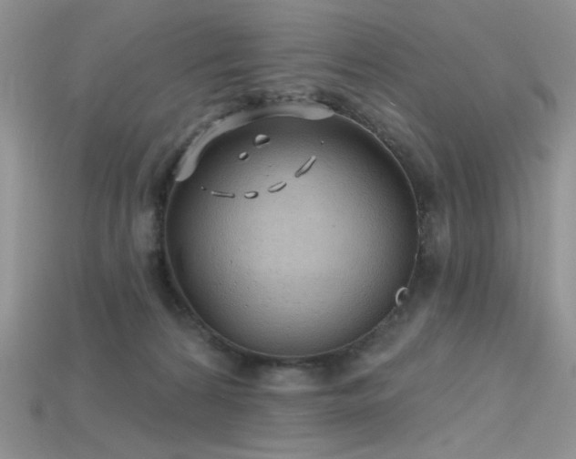 X0000115730224200911121518