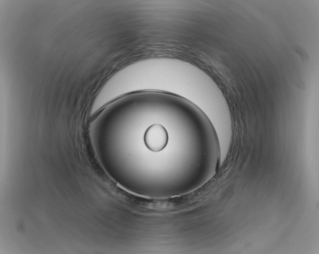 X0000115730225200911121518