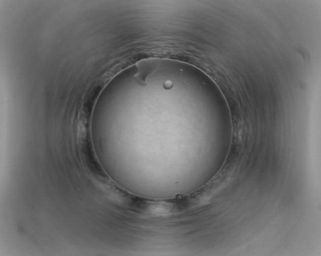 X0000115730226200911121518