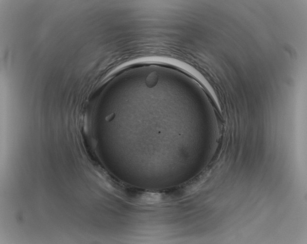 X0000115730227200911121518