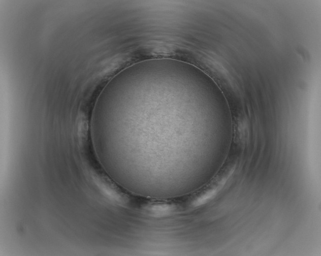 X0000115730228200911121518